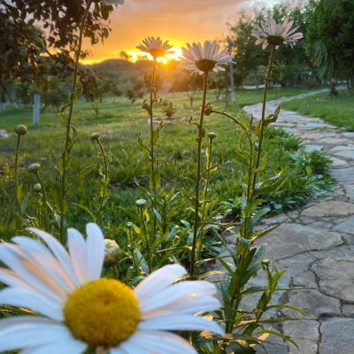 Externa Sao Goncalo 11