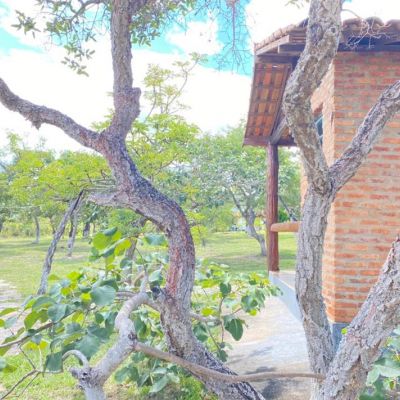 Externa Sao Goncalo 8