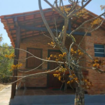 Externa Sao Goncalo 9