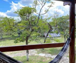 Interna Sao Goncalo 11